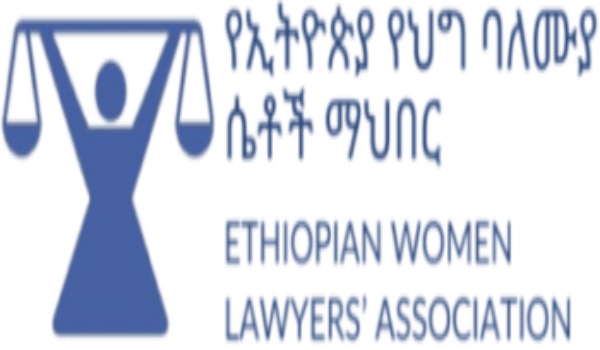 Ethiopian Women Lawyers jobs