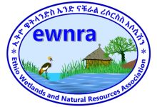 29 Job Positions at Ethio Wetlands and Natural Resources Association (EWNRA)