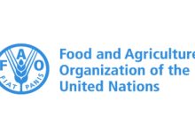 FAO Ethiopia jobs
