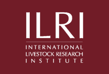 7 New Job openings at the International Livestock Research Institute (ILRI Ethiopia)