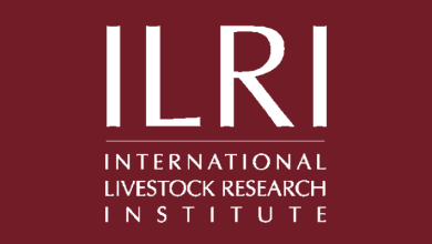 7 New Job openings at the International Livestock Research Institute (ILRI Ethiopia)